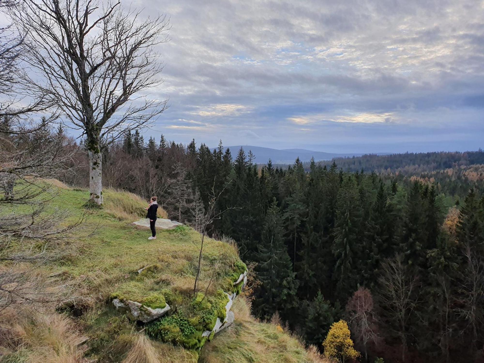 Ferienhaus Rosengarten Villa Selb Kültér fotó
